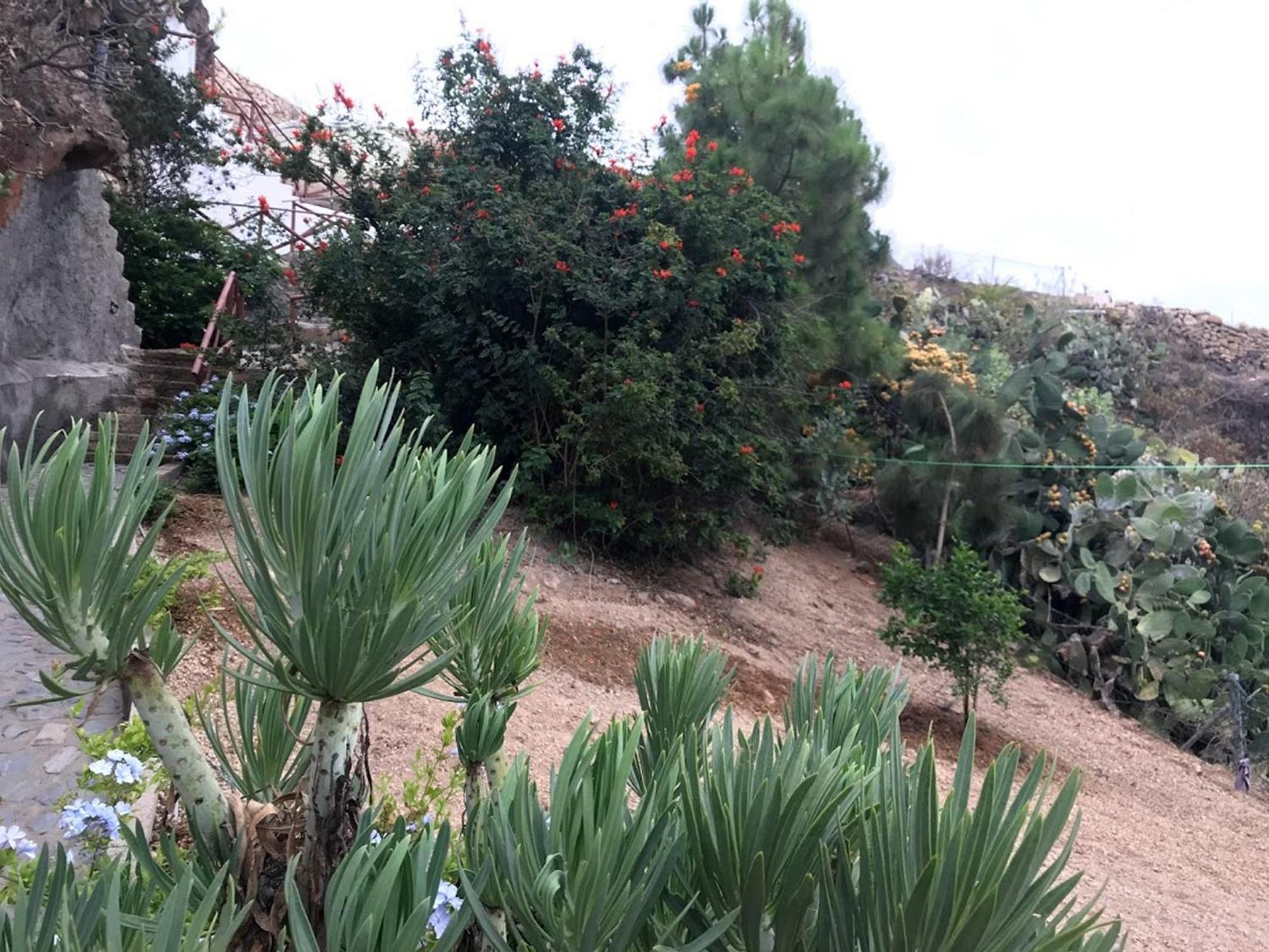 Finca Las Polinarias Casa Cueva En Fasnia Санта-Крус-де-Тенеріфе Екстер'єр фото