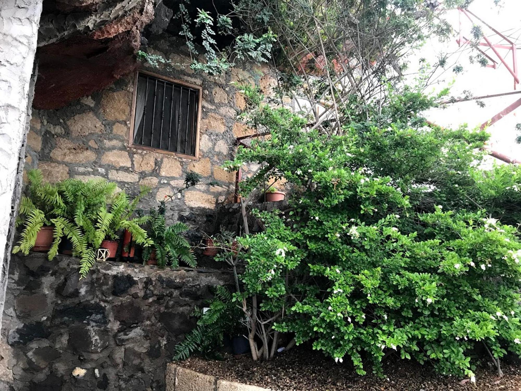 Finca Las Polinarias Casa Cueva En Fasnia Санта-Крус-де-Тенеріфе Екстер'єр фото