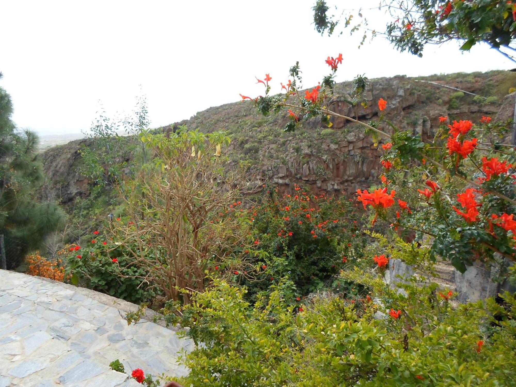 Finca Las Polinarias Casa Cueva En Fasnia Санта-Крус-де-Тенеріфе Екстер'єр фото