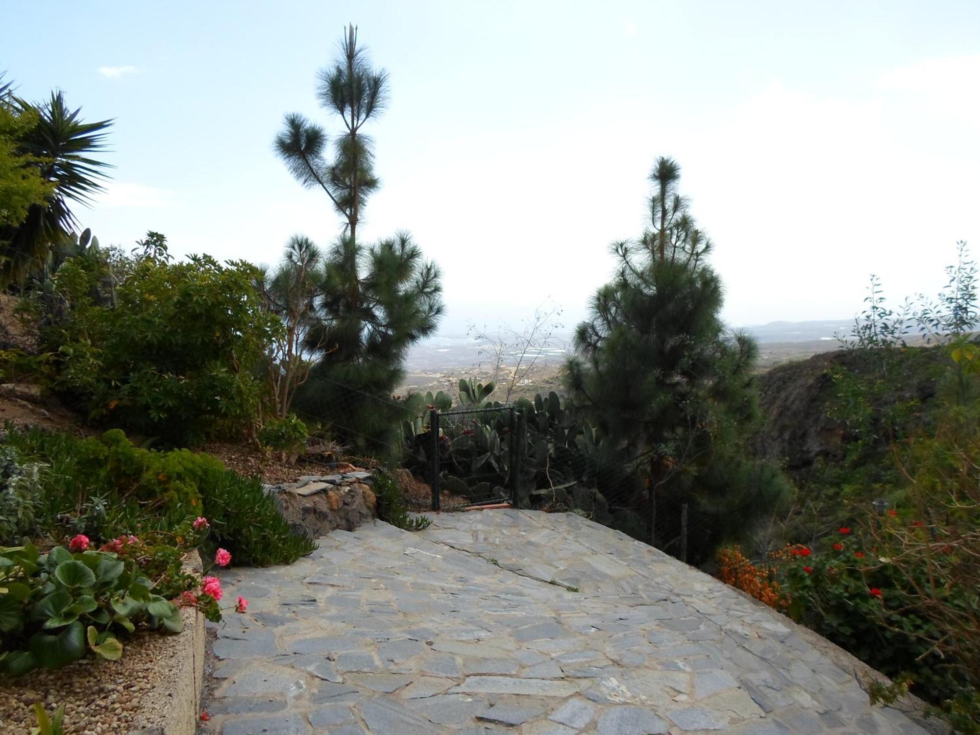 Finca Las Polinarias Casa Cueva En Fasnia Санта-Крус-де-Тенеріфе Екстер'єр фото